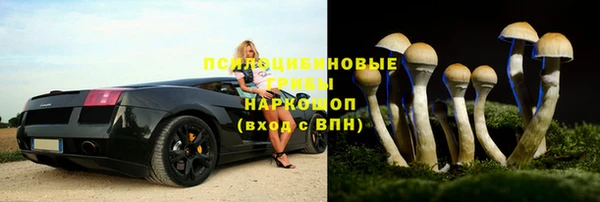 винт Аркадак