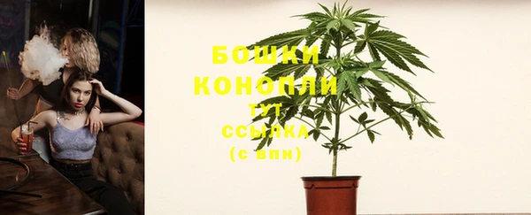 винт Аркадак