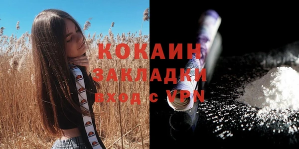 apvp Арсеньев