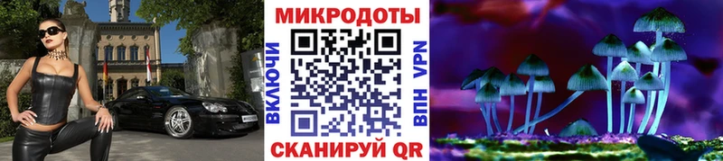Купить закладки  Западная Двина  Псилоцибиновые грибы мухоморы 